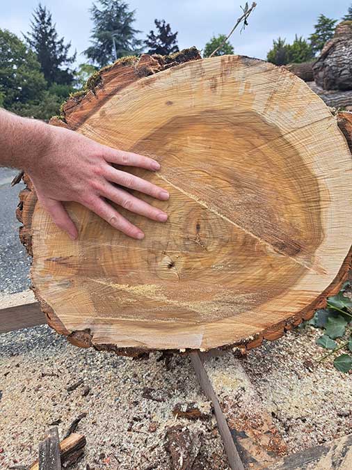 Les sens du bois à Pouzauges en Vendée